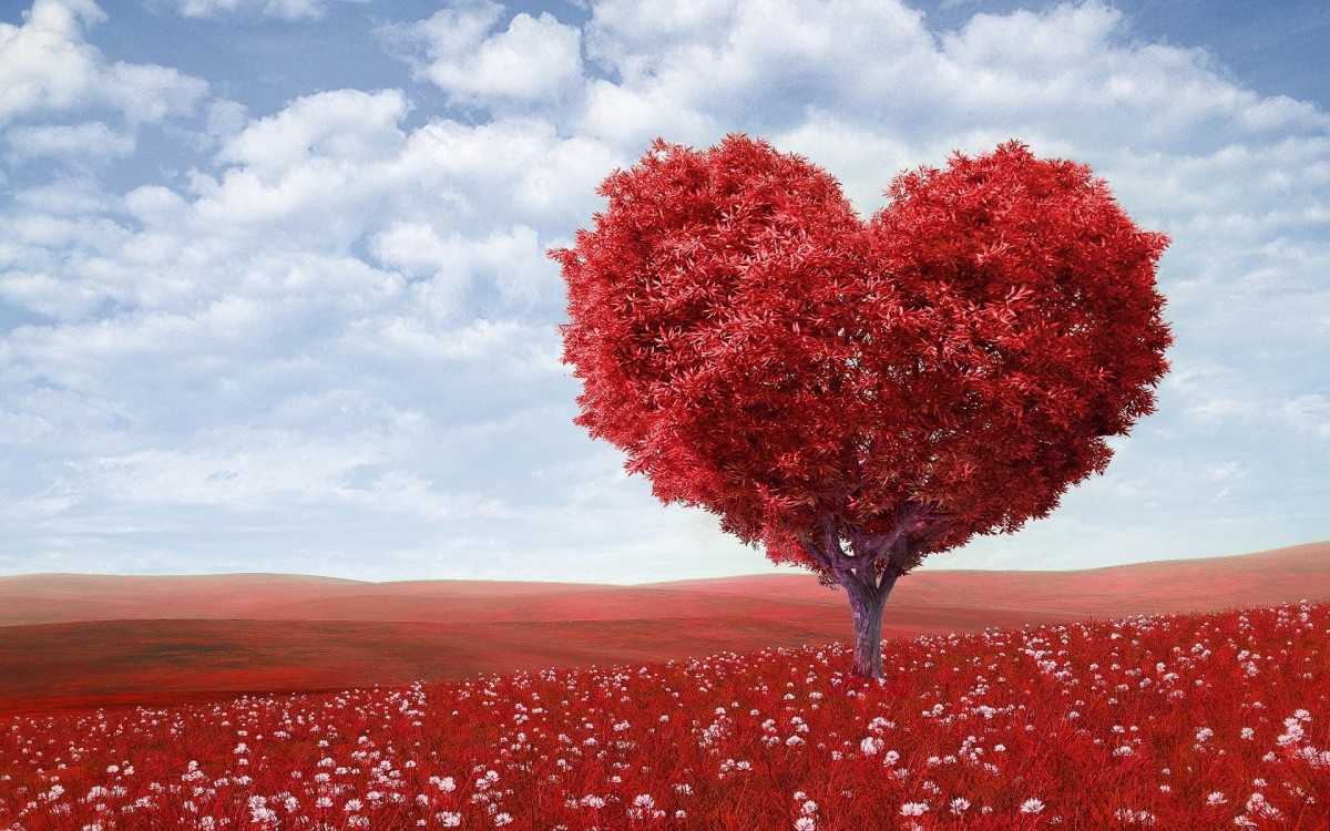Did dating just get harder? Life as an Entrepreneur